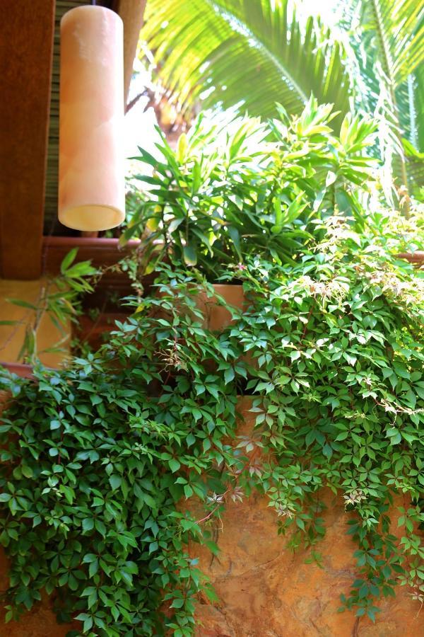 The Inn Manzanillo Bay Troncones Exterior foto