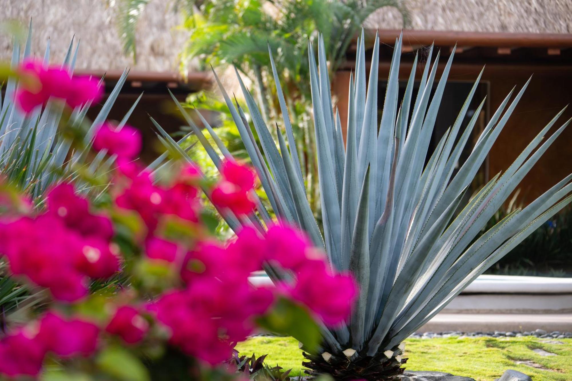 The Inn Manzanillo Bay Troncones Exterior foto